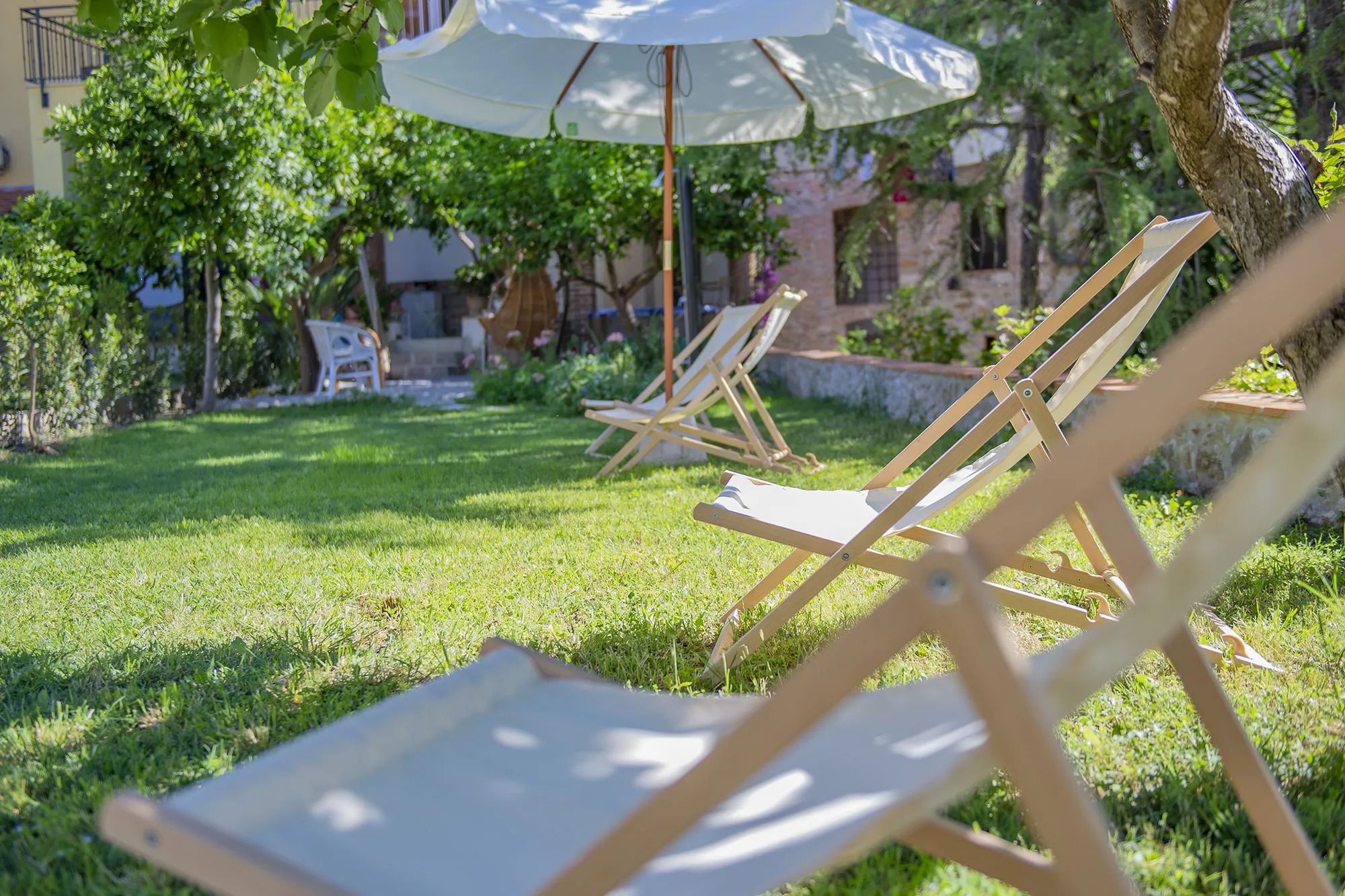 Il Giardino dei Limoni Suvereto - Immagine del giardino